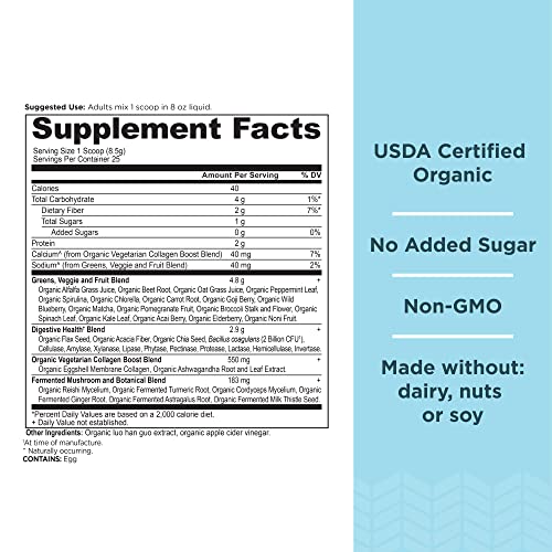 Ancient Nutrition Supergreens Powder, Organic Superfood Powder with Collagen Ancient NutritionUS supplements
