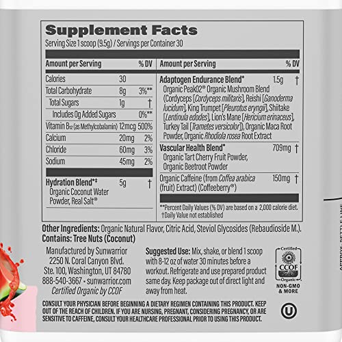 Sunwarrior Plant-Based Preworkout Powder Hydration Blend | Coconut Water Mushroom SunwarriorUS supplements