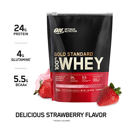 Optimum Nutrition Gold Standard 100% Whey Protein Powder, Strawberry, 1 Pound Optimum NutritionUS supplements