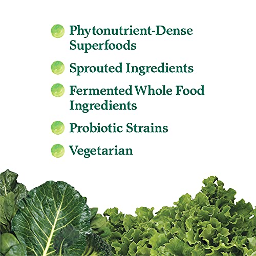 Garden of Life Perfect Food Super Green Formula - 14 Servings | 45 Superfoods, Greens Garden of LifeUS supplements