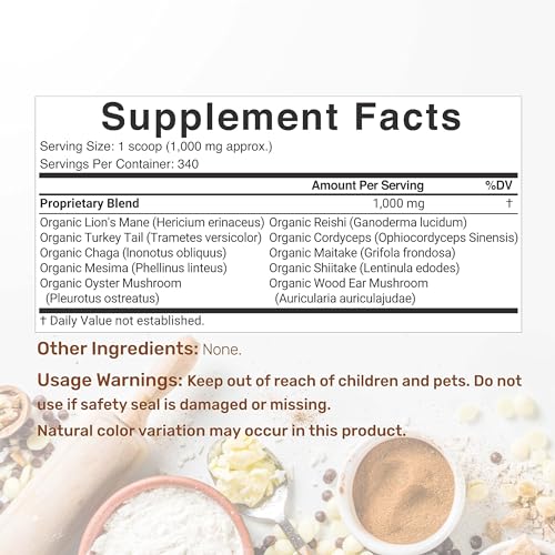 Organic Mushroom Powder Supplement, 12oz – 10 in 1 Active Blend – Turkey Tail, Lions Mane DEAL SUPPLEMENTUS supplements