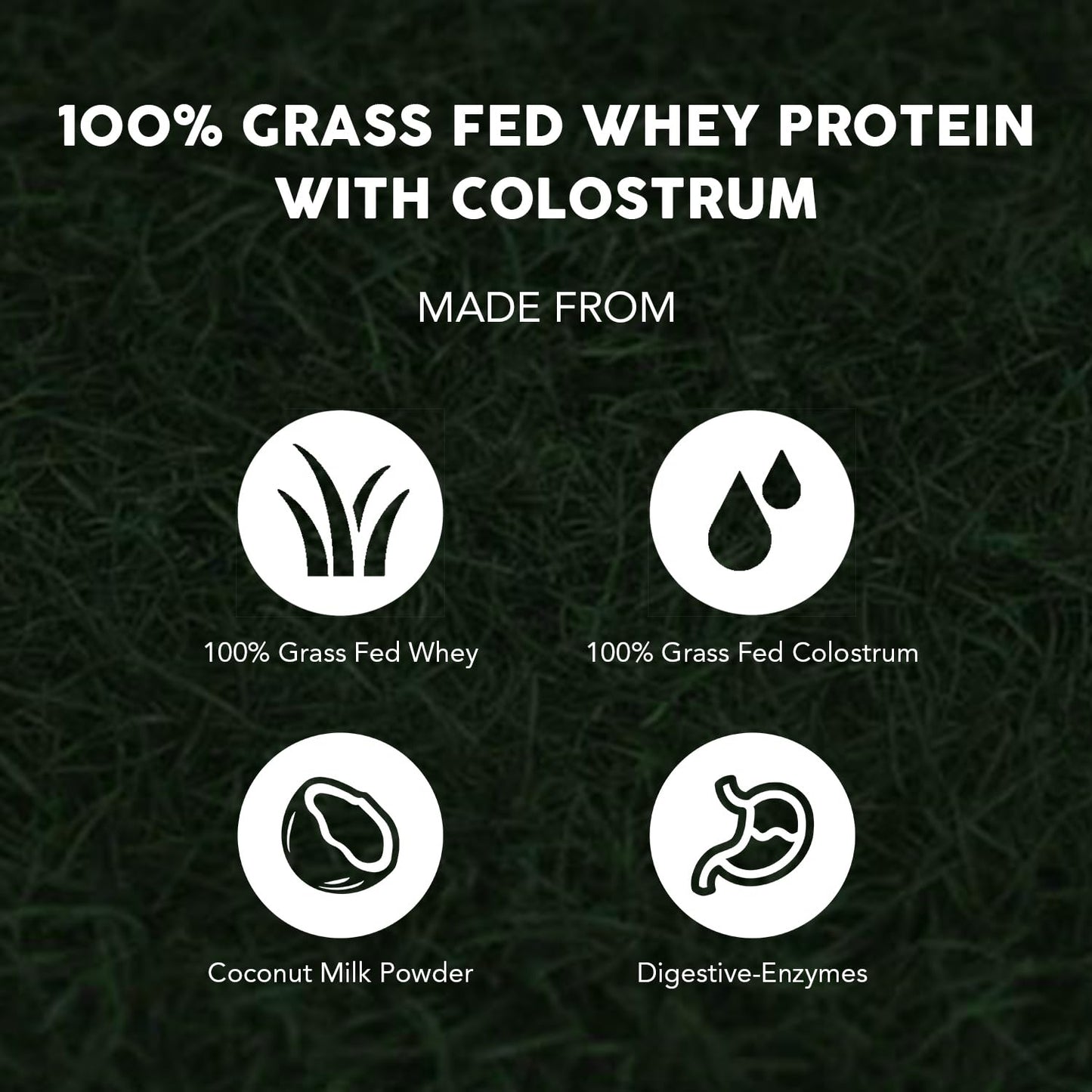 Paleovalley 100% Grassfed Whey Protein Powder with Colostrum, 30 Serving - Vanilla, 13g Protein, Muscle Building, Immune Support, Gut Health PaleovalleyUS supplements