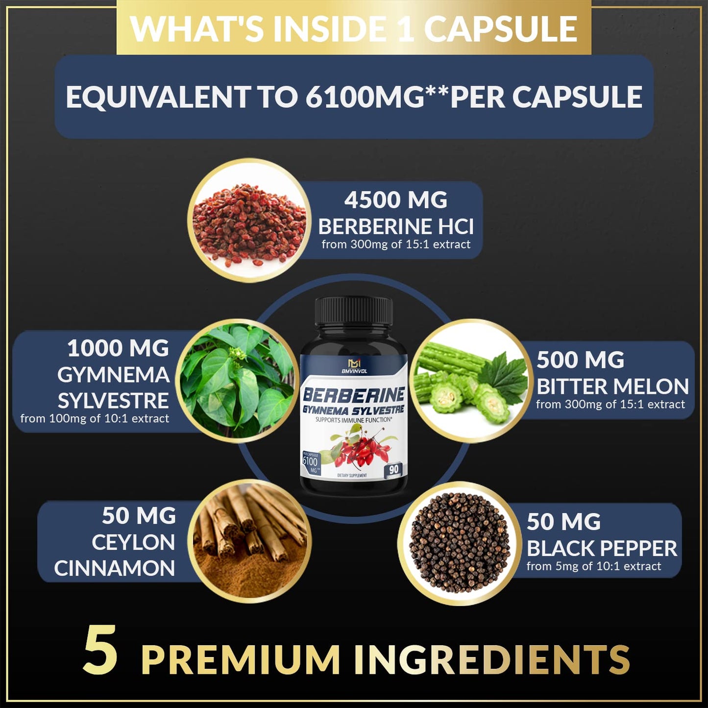 BMVINVOL 5-in-1 Berberine Supplement 6100mg with Ceylon Cinnamon, Gymnema BMVINVOLUS supplements