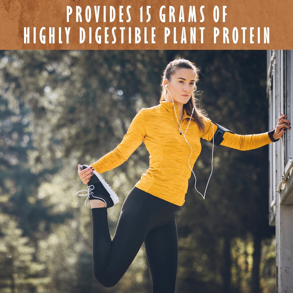 Garden of Life Organic Plant Protein Smooth Chocolate Powder, 10 Servings - Vegan, Grain Garden of LifeUS supplements