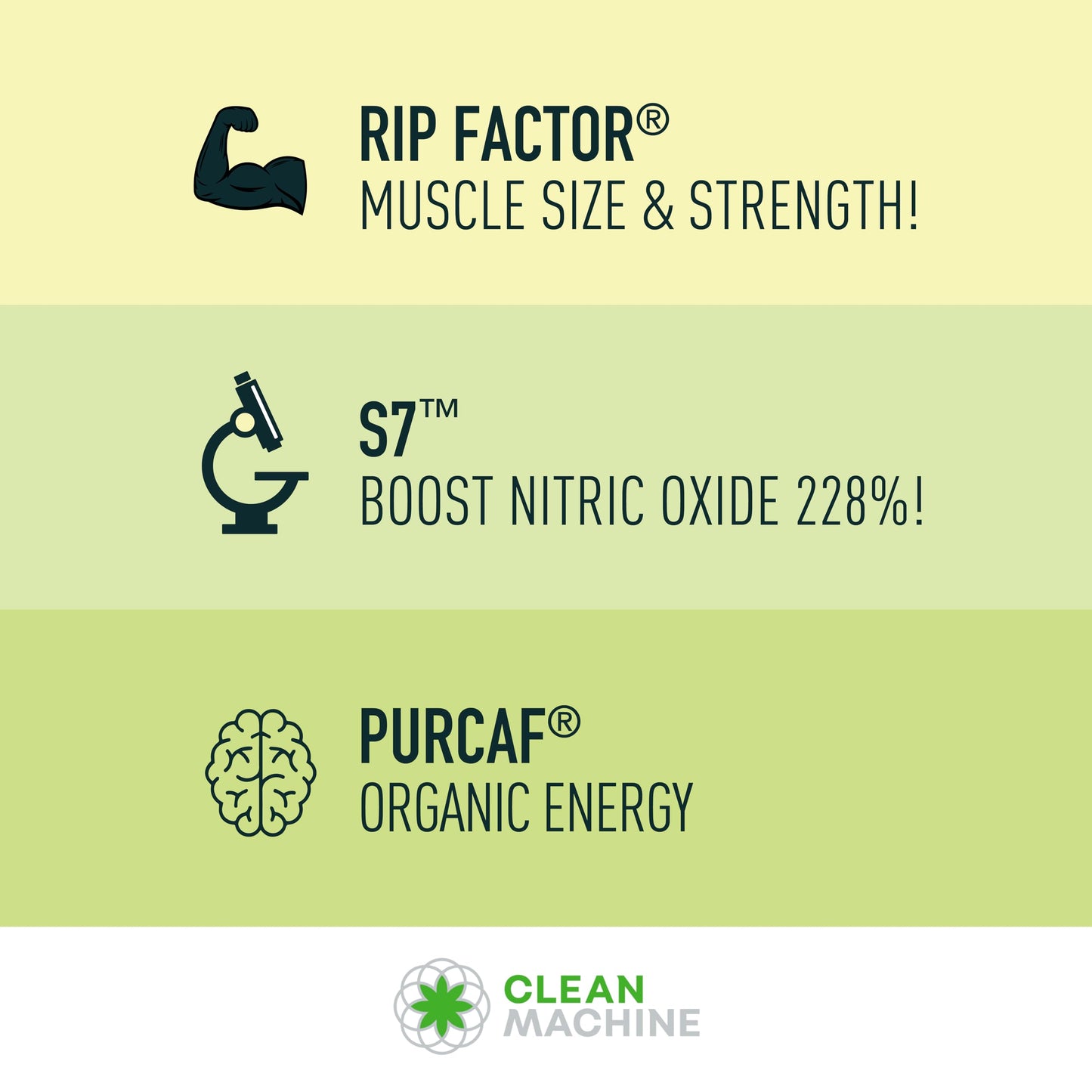 CLEAN MACHINE N10s - Plant Based Vegan Preworkout Powder - 3 Clinically Tested CLEAN MACHINEUS supplements