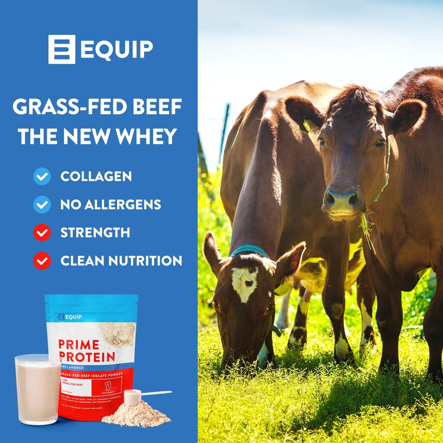 Equip Foods Prime Protein - Grass Fed Beef Protein Powder Isolate - Paleo and Keto Friendl EquipUS supplements