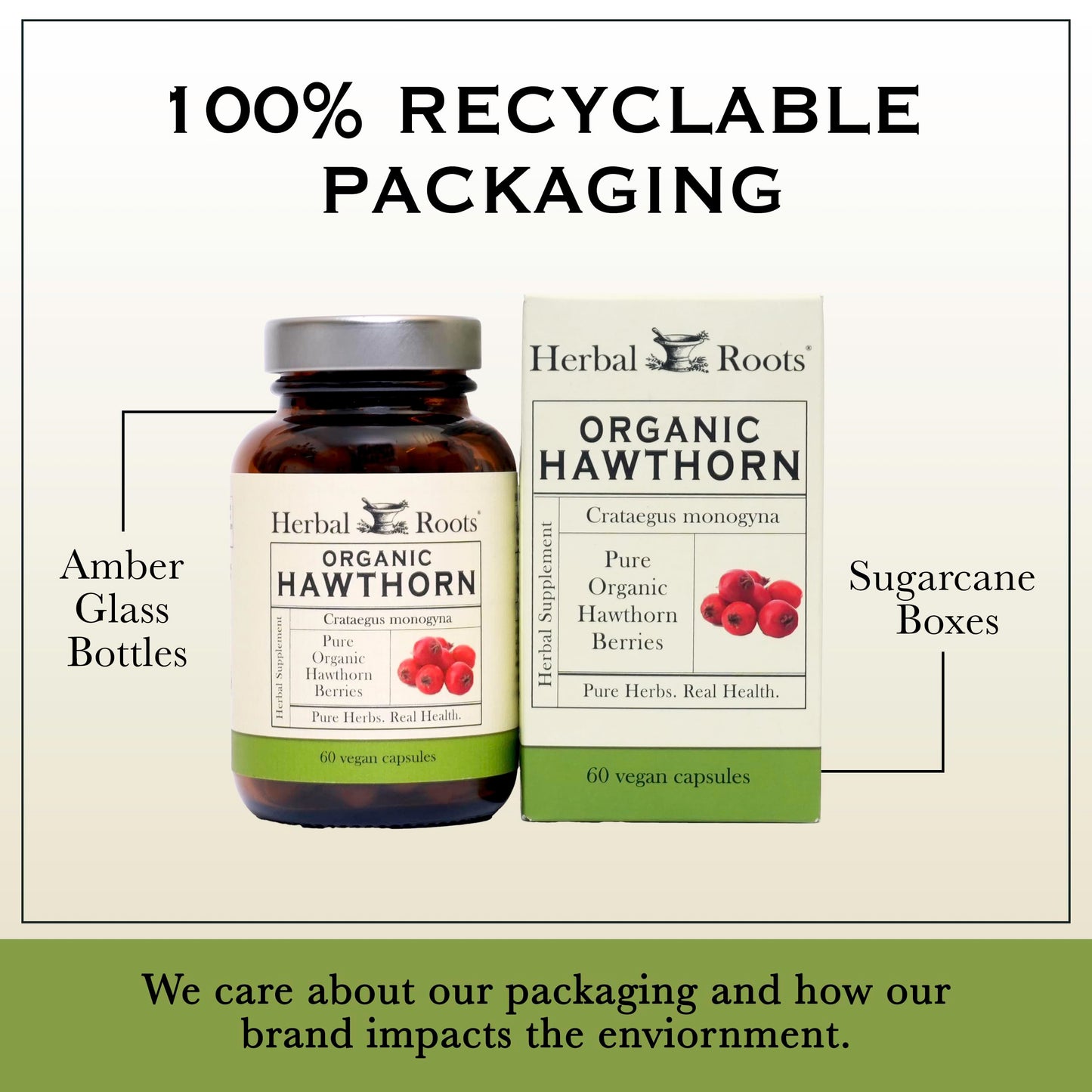 Herbal Roots Organic Hawthorn Berry Capsules | Extra Strength 1,200mg per Serving | 60 Vegan Capsules Herbal RootsUS supplements