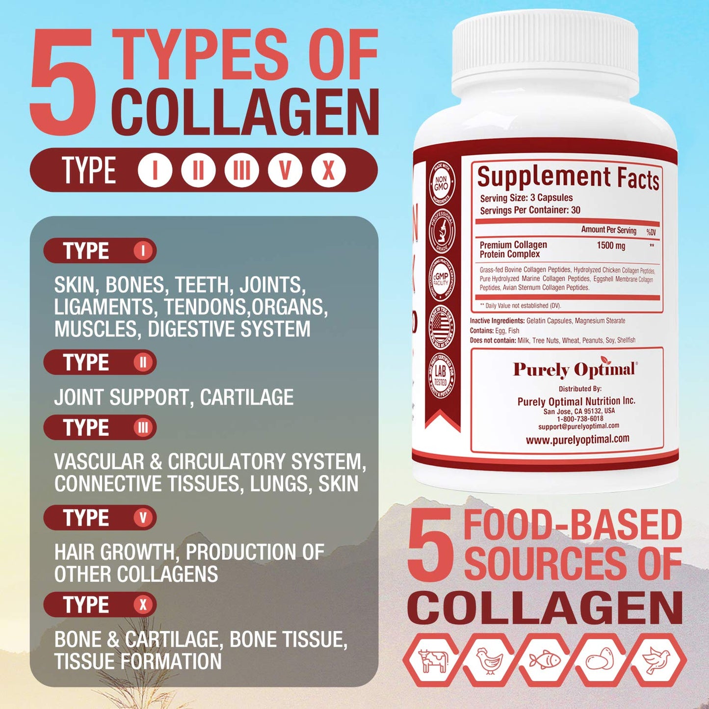 Purely Optimal Premium Multi Collagen Peptides Capsules (Types I, II, III, V, X) - Hair Purely OptimalUS supplements