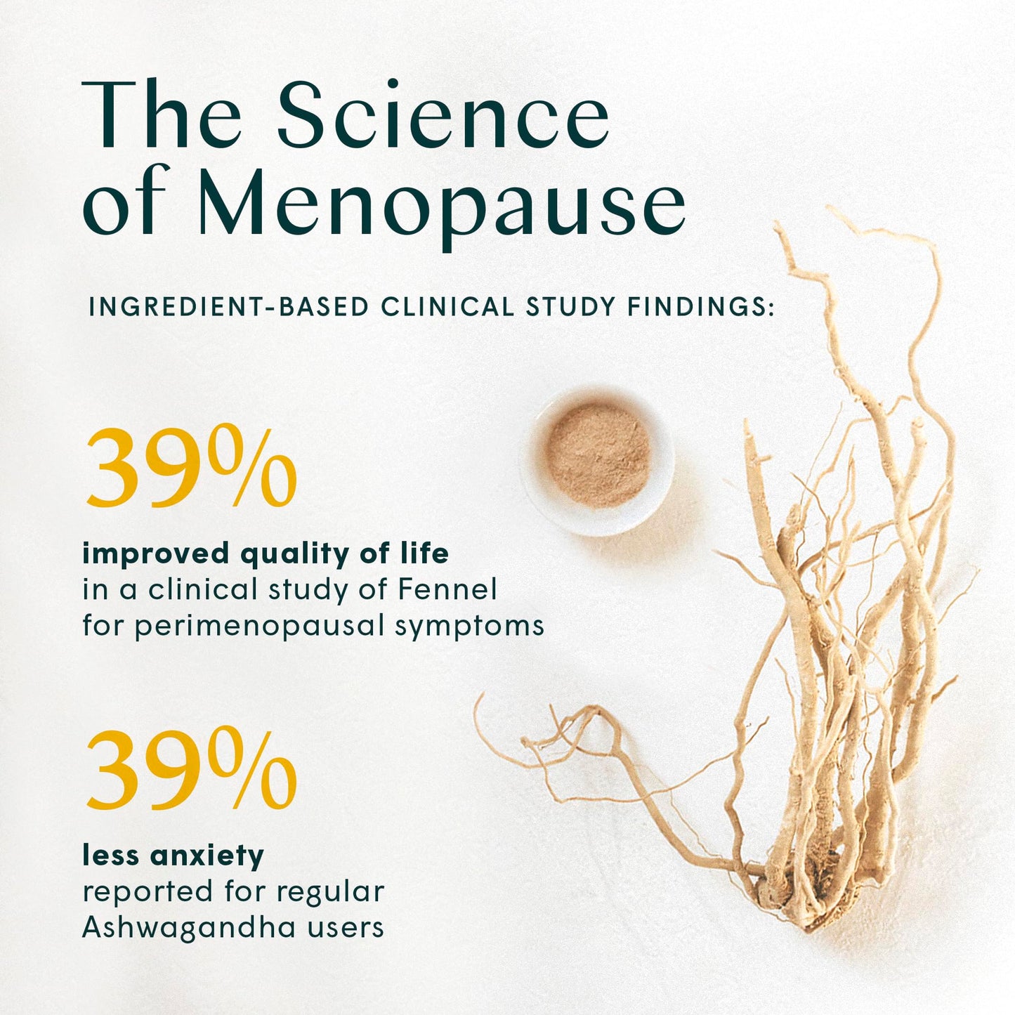 Wile Perimenopause Supplement for Women with Ashwagandha, Kudzu Root, Hops Extract WILEUS supplements