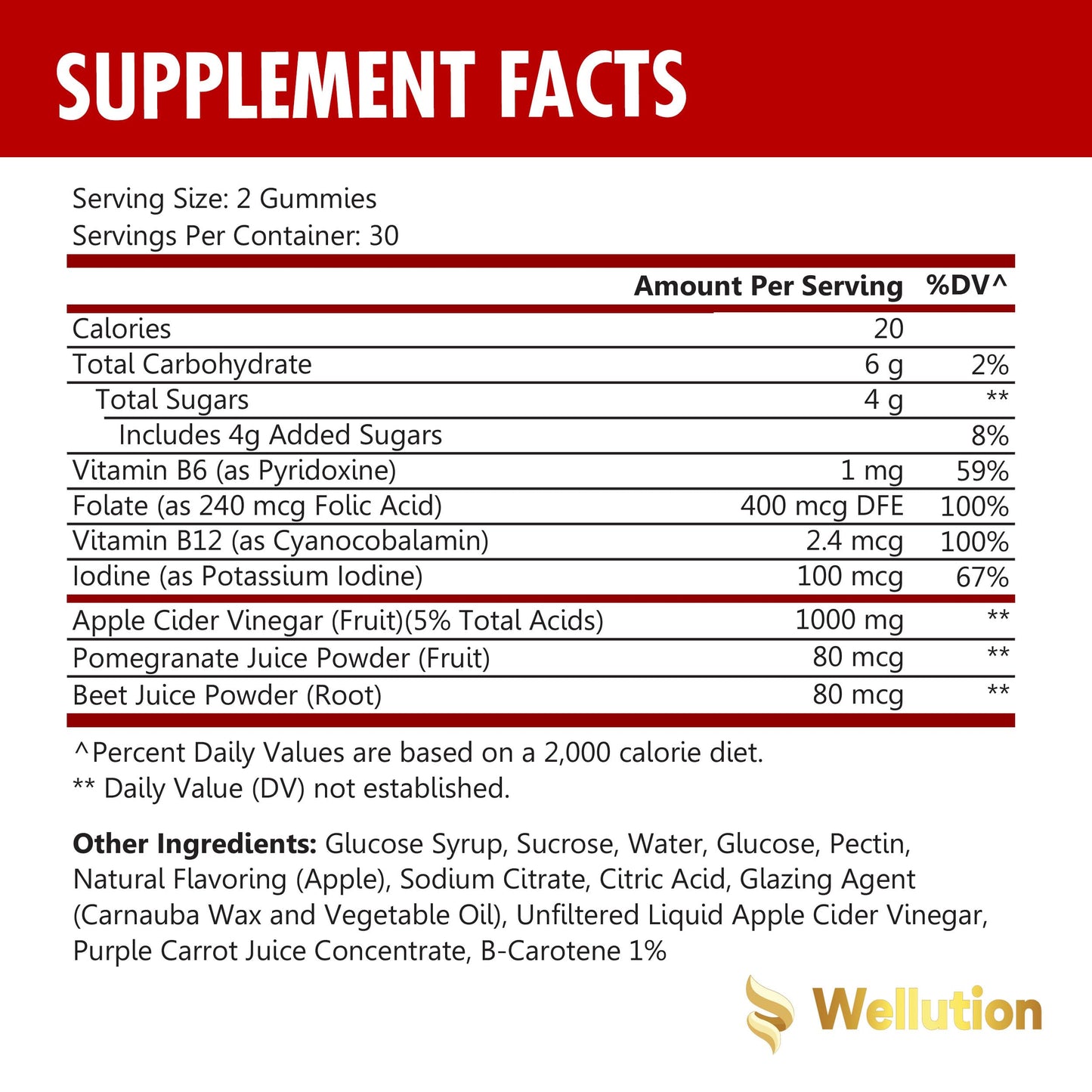 WELLUTION (2 Pack Gummies Apple Cider Vinegar - Formulated to Support Healthy Weight WELLUTIONUS supplements