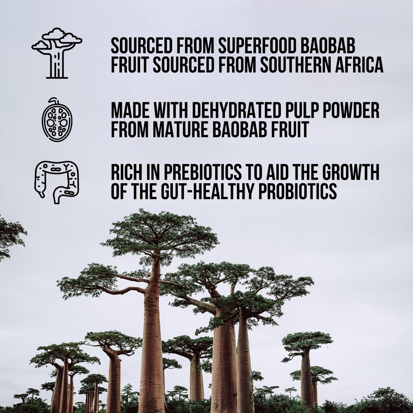 Naked Nutrition Naked Fiber Organic Baobab Powder Fiber Supplement Naked NutritionUS supplements