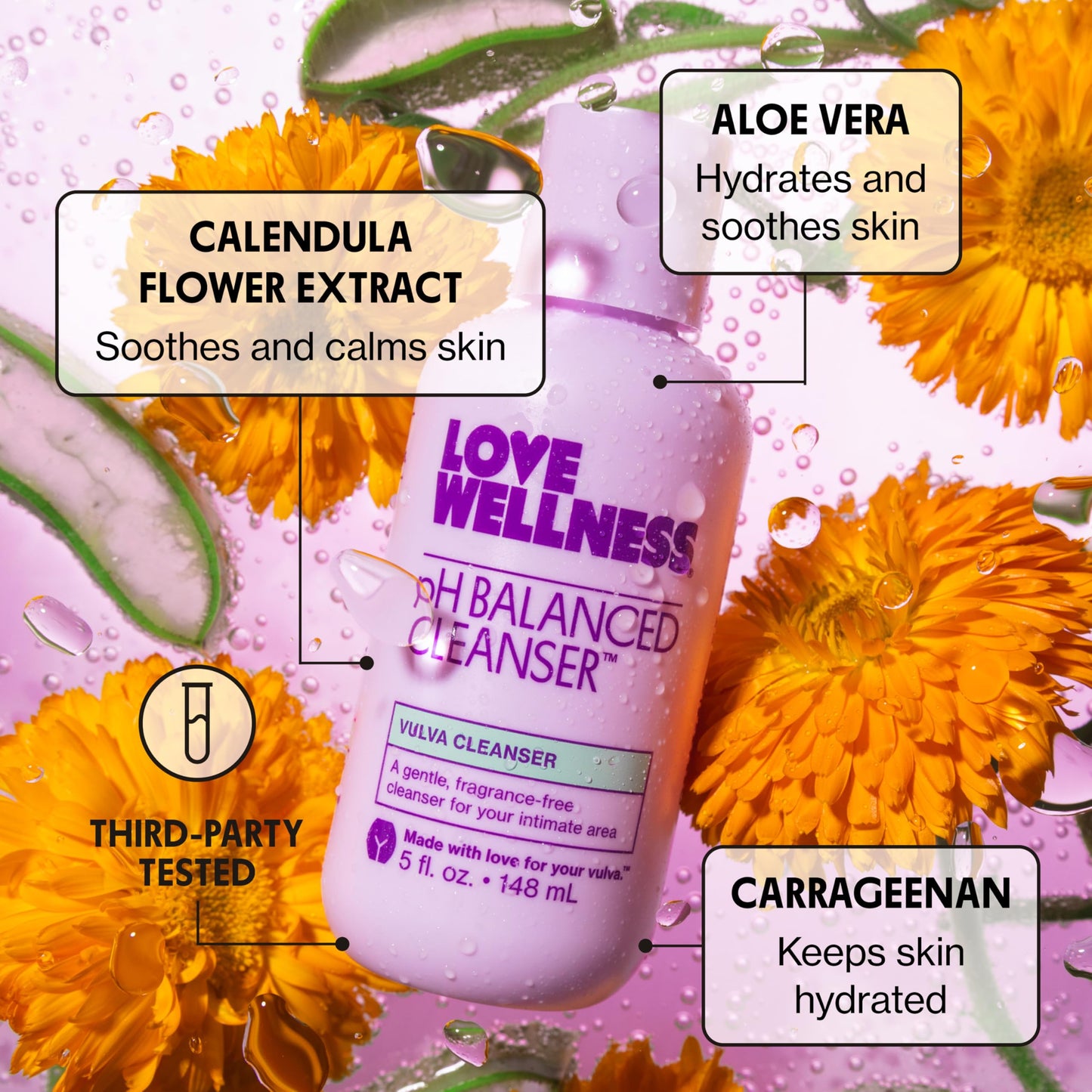 Love Wellness pH Balancing Cleanser | Feminine Vaginal Wash | Fragrance-Free | Vaginal Cleanser for Balanced pH, Intimate Health & Hygiene | Non-Irritating with Aloe Vera for Sensitive Skin | 5 Fl Oz Love WellnessUS supplements