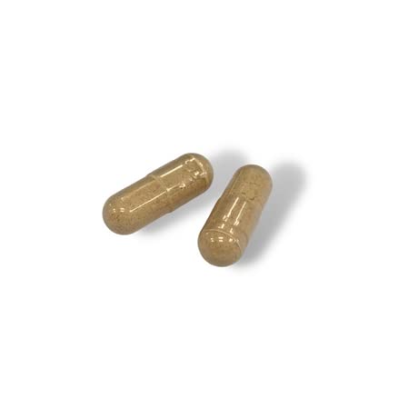 Prime Fifty Liver Support Supplements – 56 Vegan Capsules – Choline & Milk Thistle Supplements FutureYou CambridgeAu supplements