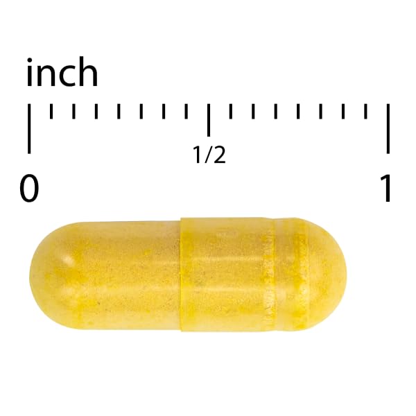 Terry Naturally Arthocin - Boswellia Serrata Capsules with Devil's Claw & Curcumin - Supplement to Support Joint & Spine Health - Herbal Supplement Aids Comfort & Absorption - 60 Capsules Terry NaturallyAu supplements