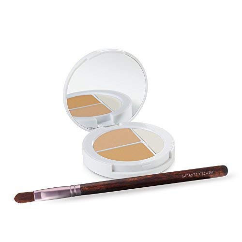 Sheer Cover Studio – Conceal and Brighten Highlight Trio – Two-Toned Concealers – Shimmering Highlighter – Light/Medium Shade – With FREE Concealer Brush – 3 Grams Sheer CoverAu supplements