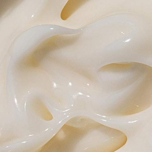 Moon Juice Cosmic Cream Vegan Collagen Protecting Moisturizer - Adaptogenic Dewy Face Lotion with Ashwagandha, Emollient Fatty Acids & Mushroom - Clean, Cruelty-Free & Sustainably-Sourced (1.7oz) Moon JuiceUS supplements