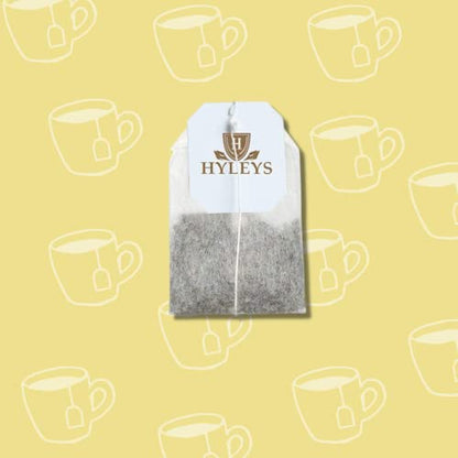 Hyleys Tea Moringa Oleifera with Mango Flavor - 50 Tea Bags (6 Pack - 300 Tea Bags total) (Miracle Tree Tea) HYLEYSUS supplements