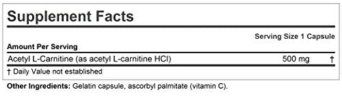 ANDREW LESSMAN Acetyl L-Carnitine 500 mg - 60 Capsules - Support for Nervous System ANDREW LESSMANUS supplements
