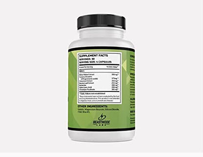 Beastmode Labs GDA1 Glucose Disposal Agent, Contains Berberine BeastModeUS supplements