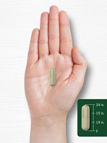 Carlyle Indole-3-Carbinol (I3C) 400mg | 120 Capsules | Advanced Formula CarlyleUS supplements
