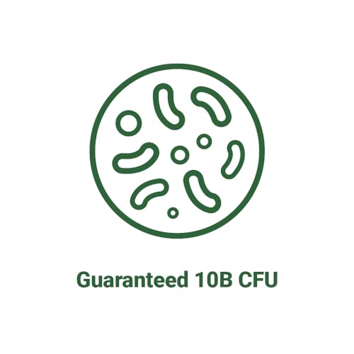 AceBiome BNRThin S30, Lactobacillus Gasseri BNR17, 10 Billion CFU Guaranteed AceBiomeUS supplements