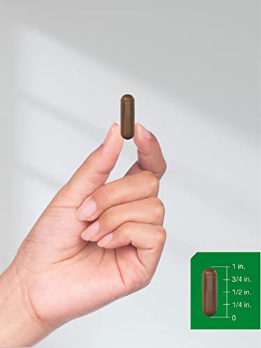 Pine Bark Extract | 6000 mg | 180 Capsules | Standardized to Contain 380 mg Proanthocyan HorbäachAu supplements