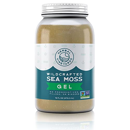 Herbal Vineyards Natural Organic Wildcrafted Gold Raw Sea Moss Gel for Immune Support Herbal VineyardsUS supplements