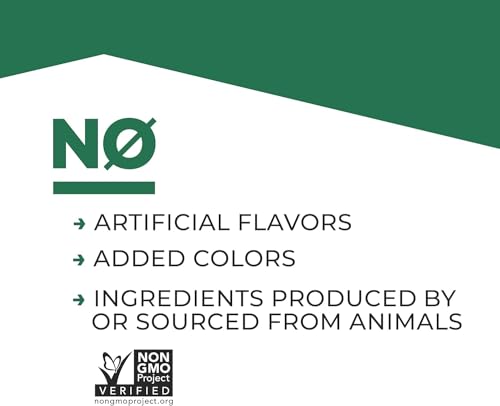 Evolve Plant Based Protein Shake, Chocolate Caramel, 20g Vegan Protein, Dairy Free EvolveUS supplements