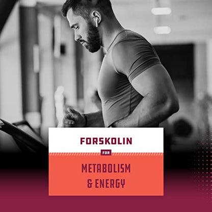 Pure Forskolin Extract for Weight Loss Supplement Powerful Antioxidant - Maximum Strength Natures CraftUS supplements