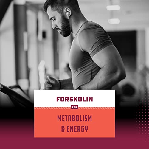 Pure Forskolin Extract for Weight Loss Supplement Powerful Antioxidant - Maximum Strength Natures CraftUS supplements