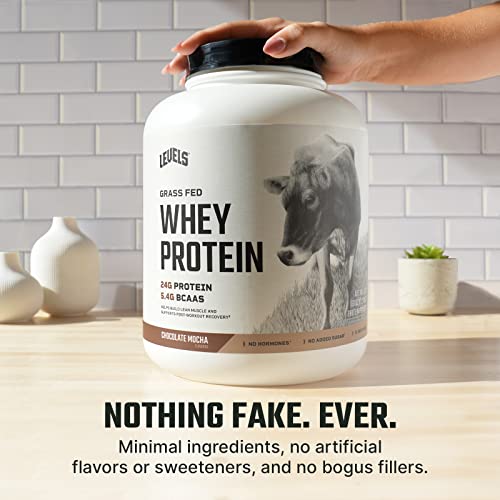 Levels Grass Fed 100% Whey Protein, No Hormones, Chocolate Mocha, 5LB Levels NutritionUS supplements