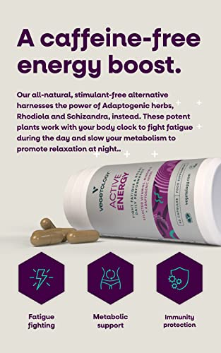 Vegetology Energy Supplements – Iron, Vitamin C & B2, B12, Folate & More – Vitamin Supple VEGETOLOGYUS supplements