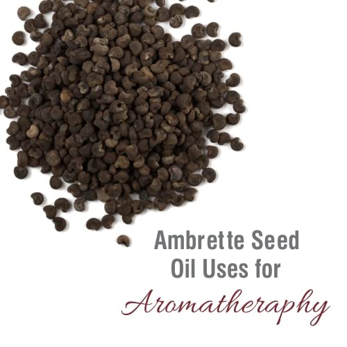Crysalis Ambrette Seed (Abelmoschus moschatus) Oil - 0.51 Fl Oz (15ml) CrysalisAu supplements