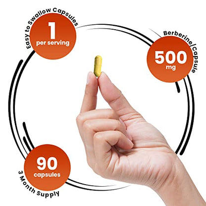 GENEX Berberine HCl 500mg (90 Capsules) | Powerful AMPK Activator, Supports Heart Genex FormulasUS supplements