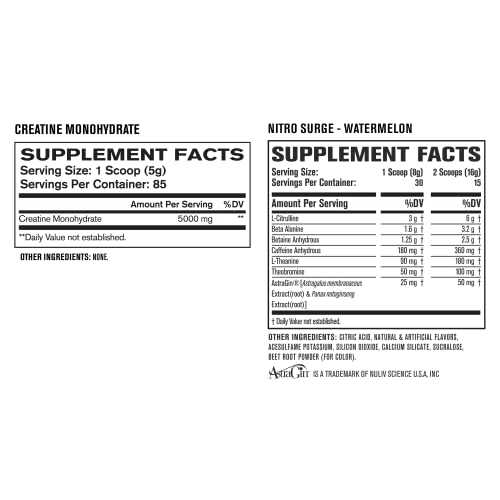 Nitrosurge Pre-Workout & Creatine Monohydrate - Pre Workout Powder With Creatine Jacked FactoryAu supplements