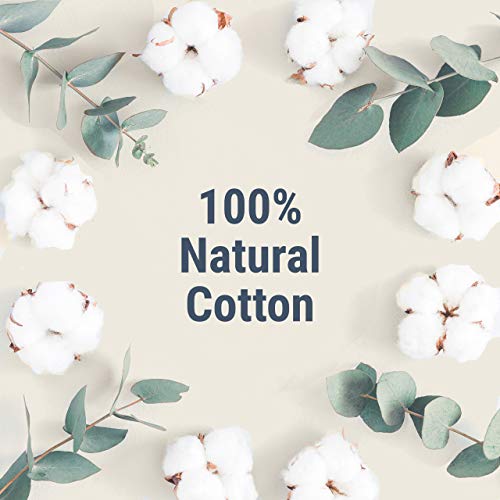 Veeda 100% Natural Cotton Applicator Free Tampons, 16 Count Super Absorbency unscented VeedaAu supplements