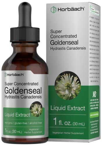 Goldenseal Root Extract Liquid | 1 fl oz Tincture | Super Concentrated | Alcohol Free HorbäachAu supplements