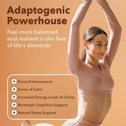 USDA Organic Lions Mane Supplement Capsules with Ashwagandha, Chaga, Reishi, Cordyceps Etta VitaUS supplements