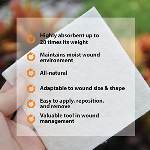 Pivot Calcium Alginate Wound Dressing – All-Natural First Aid | 4x5 Dressin LMP LINKS MEDICAL PRODUCTS INC.US supplements