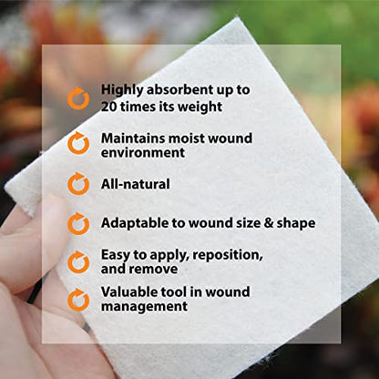 Pivot Calcium Alginate Wound Dressing – All-Natural First Aid | 4x5 Dressin LMP LINKS MEDICAL PRODUCTS INC.US supplements