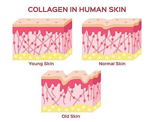 Herbal Magic's Pure & Natural Blend - Collagen Builder Capsules x 60 - Made from 17 Fruits Herbal MagicAu supplements