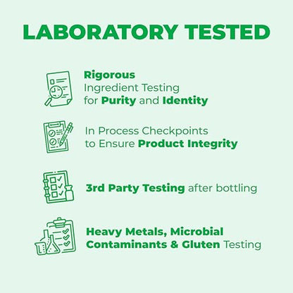 Green Tea Extract Capsules - Green Tea Supplement with Organic Turmeric Curcumin Vimerson HealthUS supplements