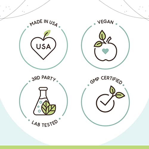 Barberry Root B120 Alcohol-Free Herbal Extract Tincture, Concentrated Liquid Drops Natural Barberry HerbEraAu supplements