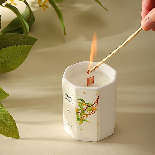 Modoray Scented Candle, Candles for Home Scented, Aromatherapy Candle，Long Lasting Natural ModorayAu supplements