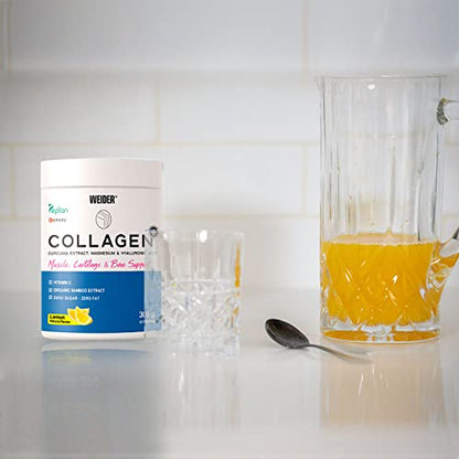 Weider Collagen Plus. Powder Preparation with Collagen peptides (Peptan), hyaluronic Acid WeiderUS supplements