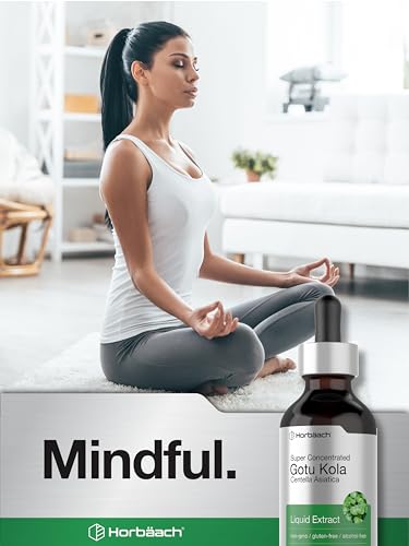 Gotu Kola Extract | 2 fl oz | Alcohol Free | Super Concentrated Liquid Herb Supplement HorbäachAu supplements