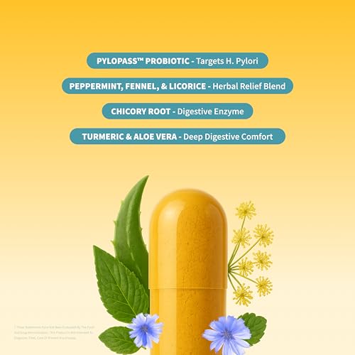 Snap Supplements Gut Health Lipase Supplement with Probiotics for Women & Men, Digestive Enzymes & Prebiotics - Turmeric, Aloe, Pylopass & Zinc, 50 Vegetarian Capsules Snap SupplementsAu supplements