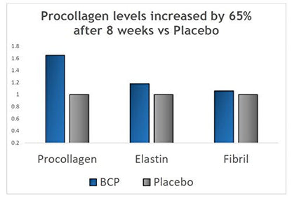 Verisol Collagen Bioactive Peptides (Natural Collagen Powder) Made in Germany BESHA INCUS supplements