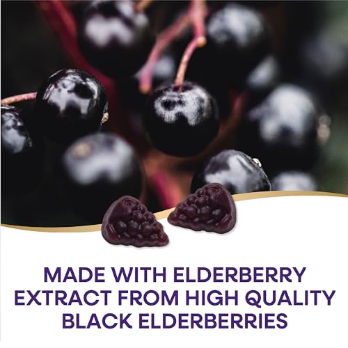 Nature's Way Sambucus Elderberry Immune Gummies, Daily Immune Support Nature's WayUS supplements