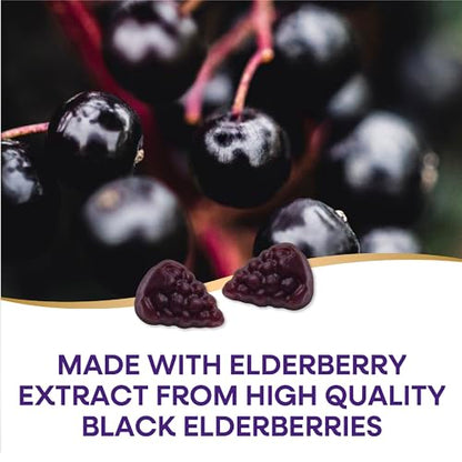 Nature's Way Sambucus Elderberry Immune Gummies, Daily Immune Support Nature's WayUS supplements